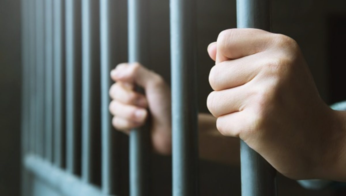 Avanza en el Senado propuesta de 45 años de cárcel por falsificar pruebas o vacunas contra COVID-19 Avanza en el Senado propuesta de 45 años de cárcel por falsificar pruebas o vacunas contra COVID-19