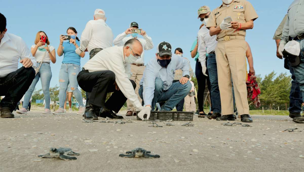 Gobierno de Tamaulipas impulsa acciones para preservar la flora y fauna de la entidad