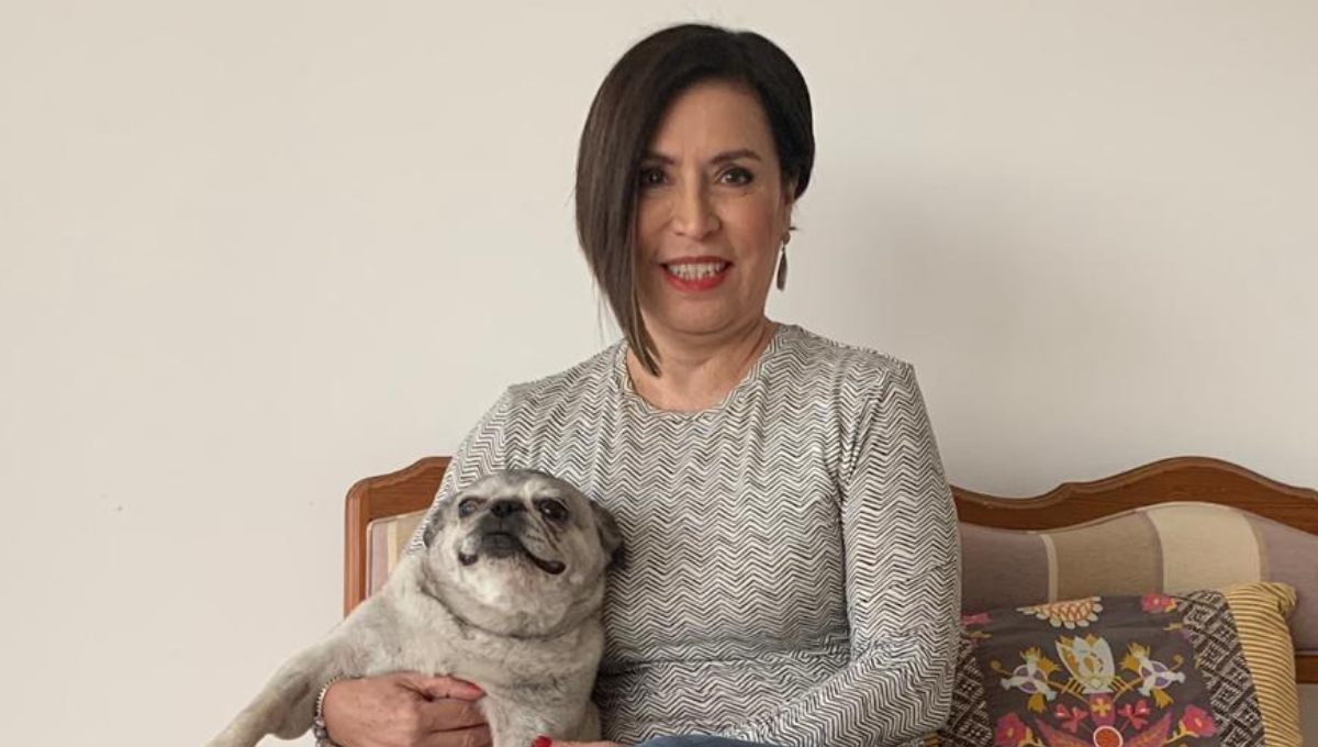 Programan audiencia de Rosario Robles para este miércoles; ese día podría salir libre Programan audiencia de Rosario Robles para este miércoles; ese día podría salir libre