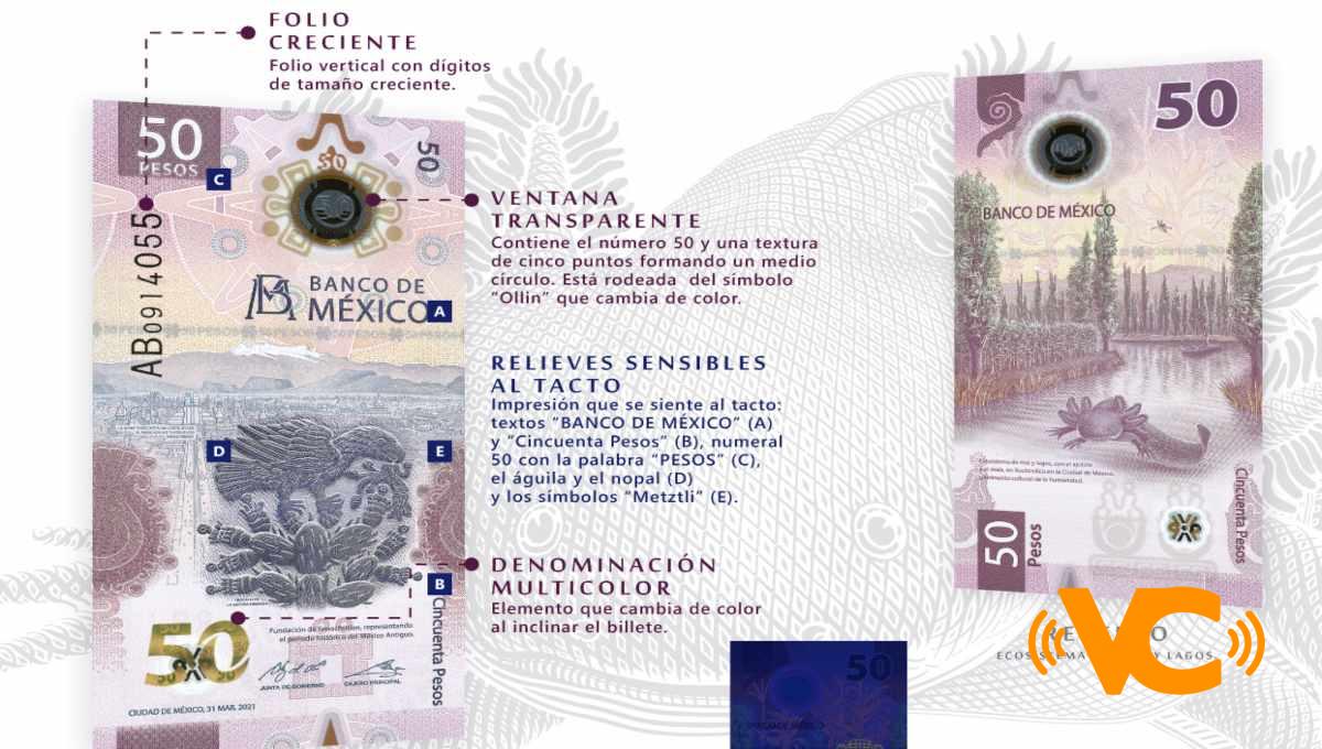 ¡Adiós Morelos! Así luce el nuevo billete de 50 pesos con el ajolote como protagonista ¡Adiós Morelos! Así luce el nuevo billete de 50 pesos con el ajolote como protagonista