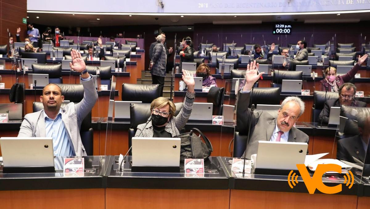 Greenpeace advierte “retroceso” en prohibición de plásticos en México por reforma avalada en el Senado Greenpeace advierte “retroceso” en prohibición de plásticos en México por reforma avalada en el Senado