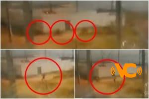 VIDEO: En Jalisco atacan instalaciones de Canal 44 y matan a dos guardias de seguridad VIDEO: En Jalisco atacan instalaciones de Canal 44 y matan a dos guardias de seguridad