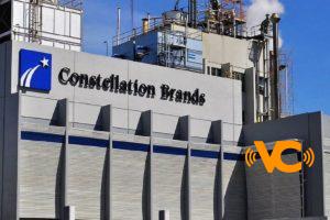 Constellation Brands planea fábrica en Veracruz Constellation Brands planea fábrica en Veracruz