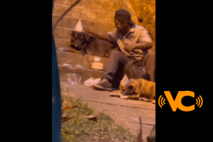 VIDEO: Hombre en situación de calle celebra el cumpleaños de sus perritos