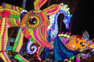 Festival Internacional de Santa Lucía apuesta por los jóvenes talentos