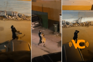 Video: Niña pasea por la calle a león en brazos luego de que escapara