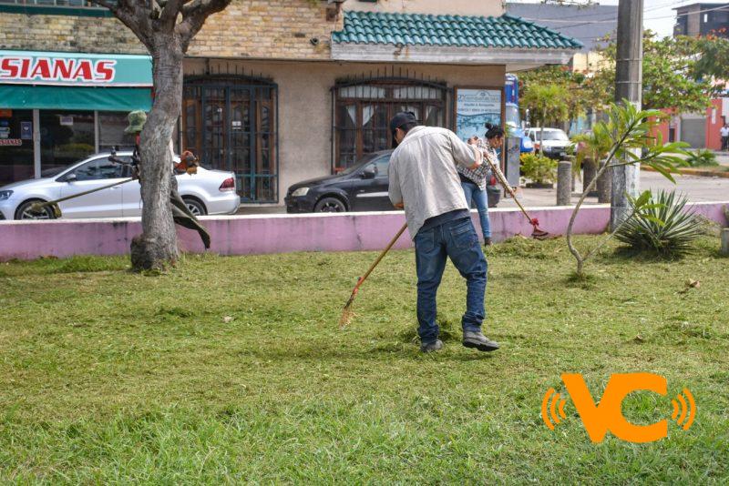 Dan mantenimiento a jardineras de camellones centrales Dan mantenimiento a jardineras de camellones centrales
