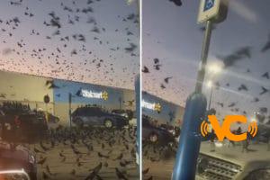 VIDEO. «Vendrán cosas peores»: Adal Ramones vive momentos de terror al ir de compras VIDEO. «Vendrán cosas peores»: Adal Ramones vive momentos de terror al ir de compras