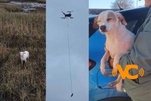 Con una salchicha atada en un dron, rescataron a un perrito de hundirse en una zona pantanosa Con una salchicha atada en un dron, rescataron a un perrito de hundirse en una zona pantanosa