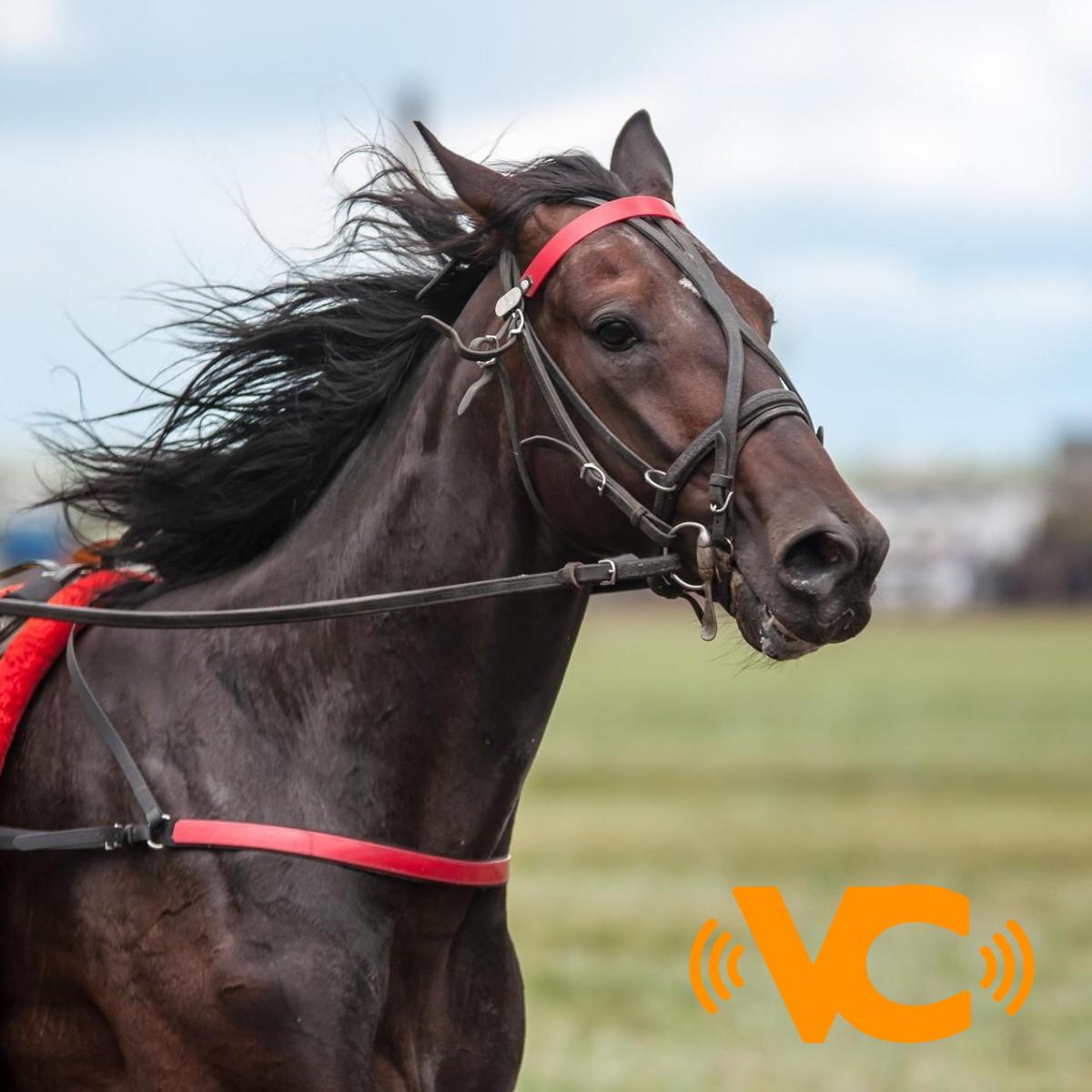 Chihuahua: 11 personas muertas tras un ataque en carrera de caballos Chihuahua: 11 personas muertas tras un ataque en carrera de caballos