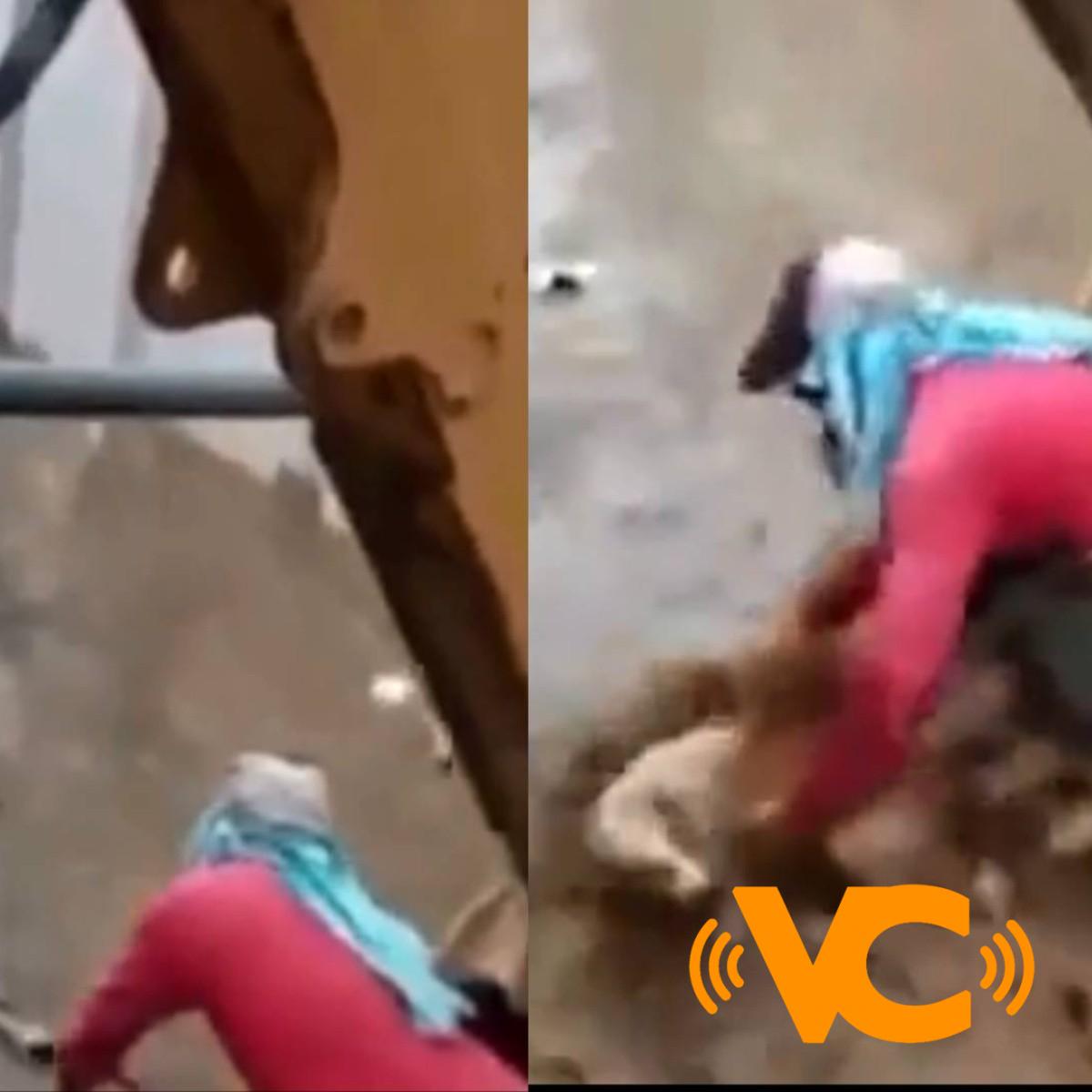 VIRAL: Heroicos trabajadores en una construcción salvan a un perro arrastrado por una fuerte corriente de agua VIRAL: Heroicos trabajadores en una construcción salvan a un perro arrastrado por una fuerte corriente de agua