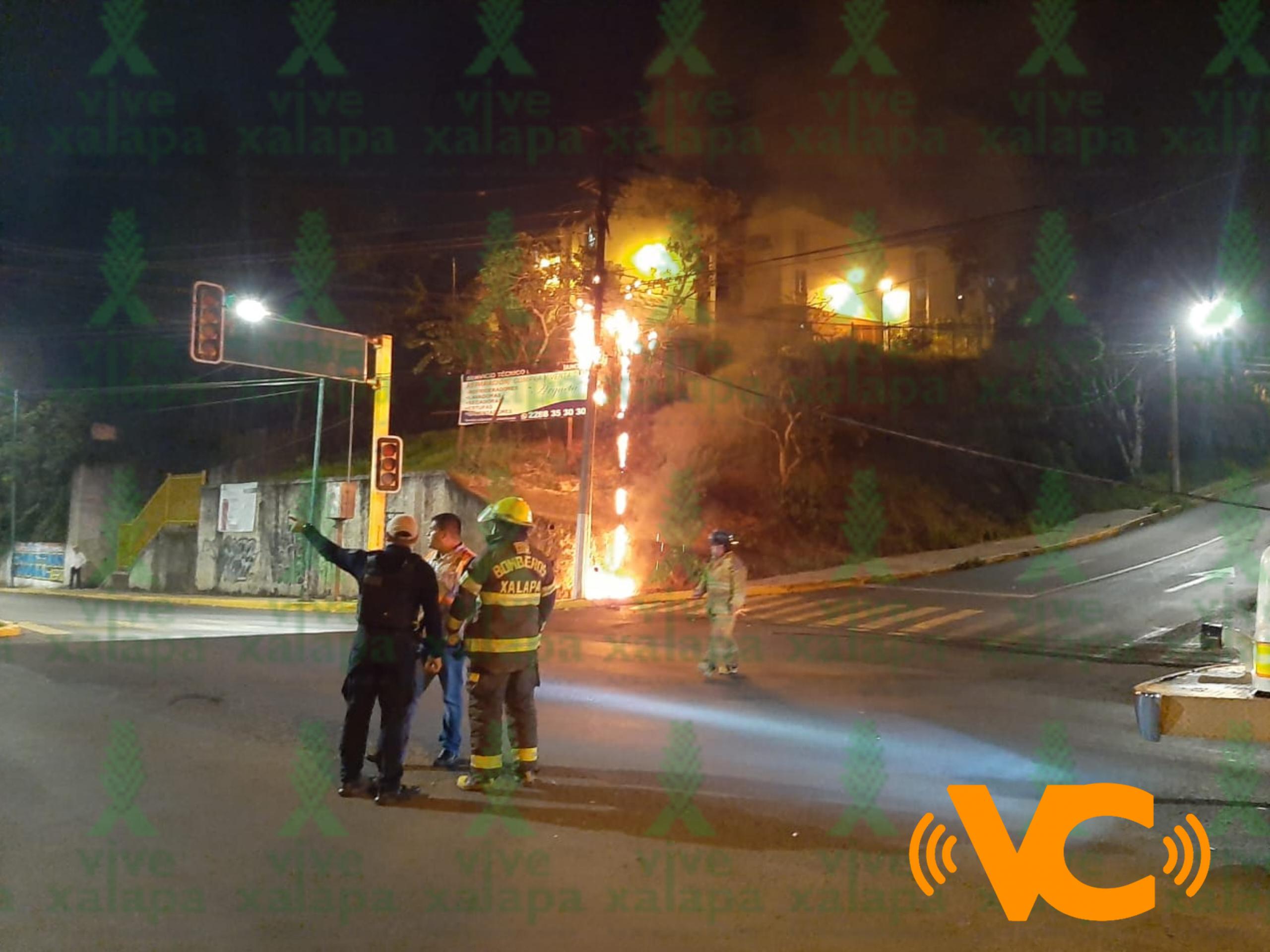 Muere un tlacuache electrocutado tras cortocircuito en avenida de Xalapa Muere un tlacuache electrocutado tras cortocircuito en avenida de Xalapa