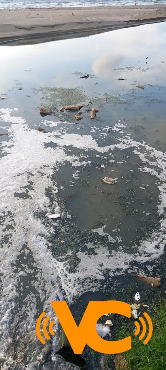 Captan a presunto cocodrilo en canal de aguas negras en Coatzacoalcos Captan a presunto cocodrilo en canal de aguas negras en Coatzacoalcos