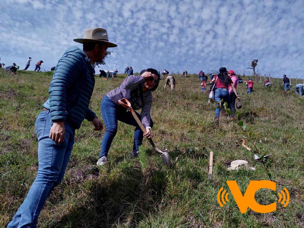 El Poder Legislativo, coadyuvante en las acciones que rescaten al medio ambiente: Rosalinda Galindo El Poder Legislativo, coadyuvante en las acciones que rescaten al medio ambiente: Rosalinda Galindo