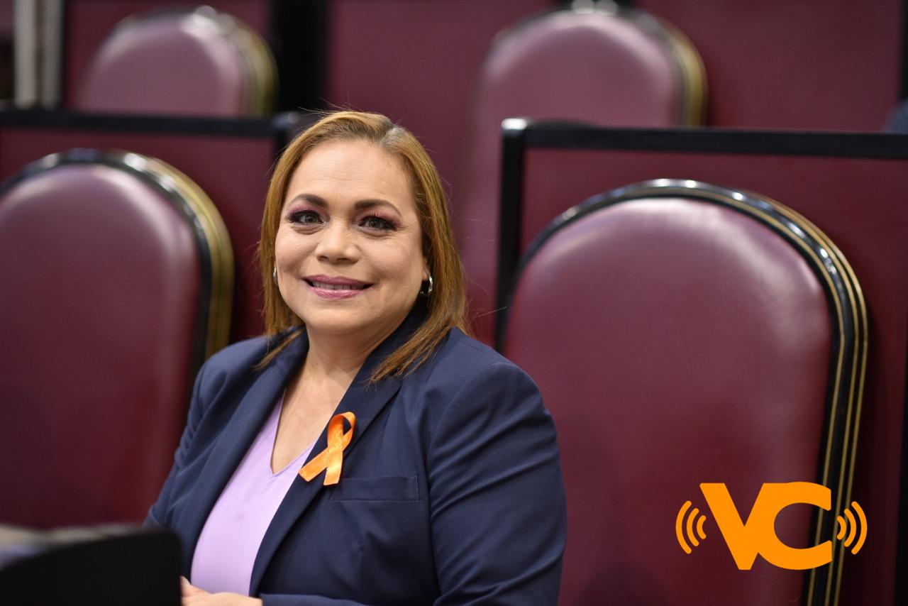 Pide diputada que comparecencias se ajusten a lo dispuesto en el Reglamento Pide diputada que comparecencias se ajusten a lo dispuesto en el Reglamento