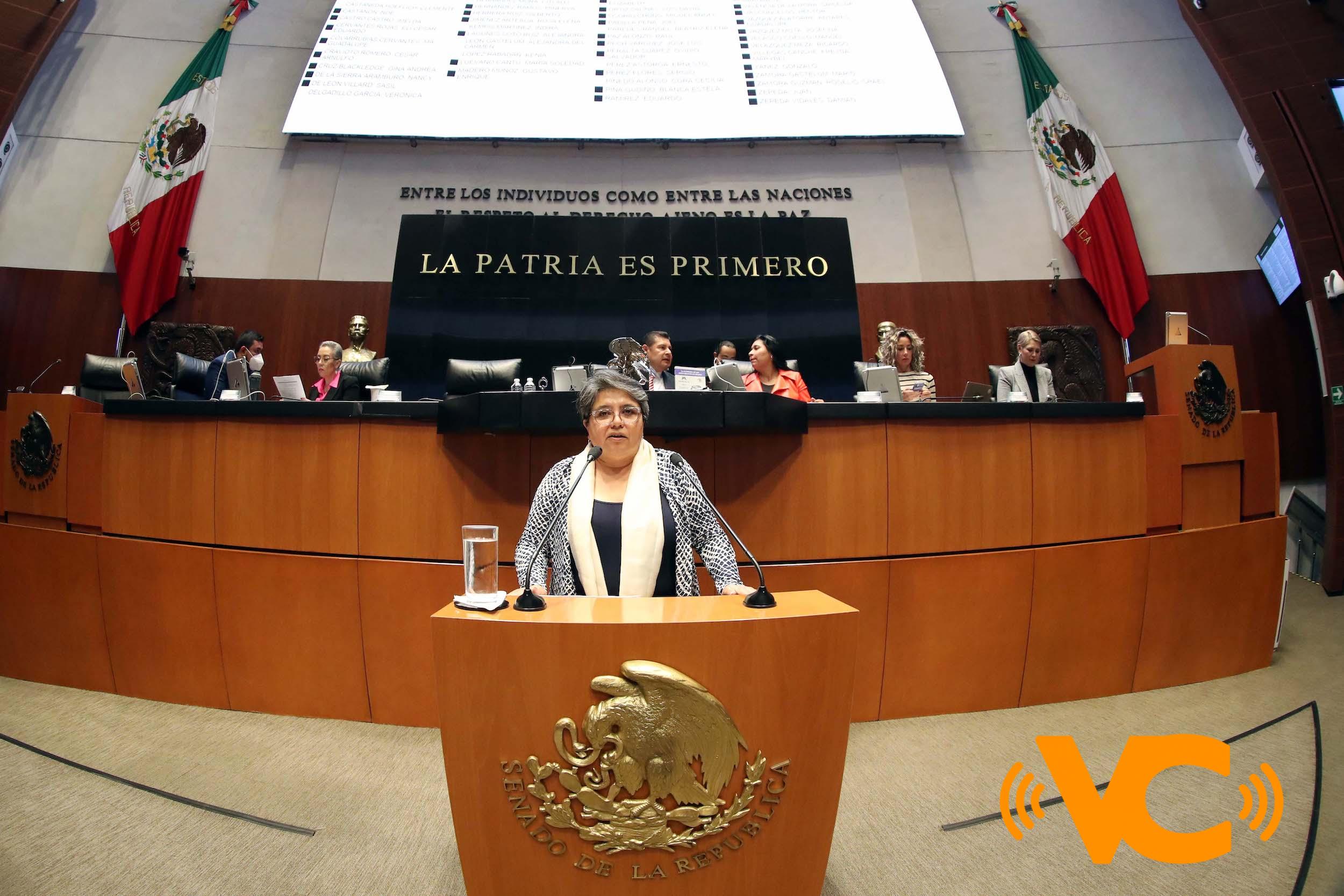 Comparece Raquel Buenrostro ante Pleno del Senado Comparece Raquel Buenrostro ante Pleno del Senado