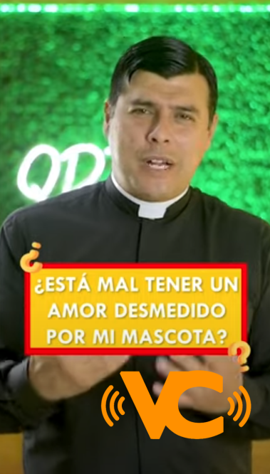 Un sacerdote vrea polémica sobre la humanización de los animales en tik tok Un sacerdote vrea polémica sobre la humanización de los animales en tik tok