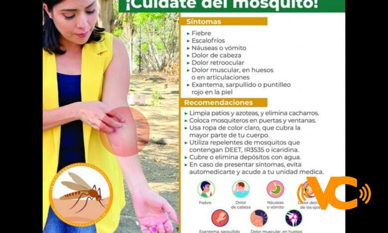 Pide IMSS Veracruz Sur reforzar medidas de prevención contra dengue