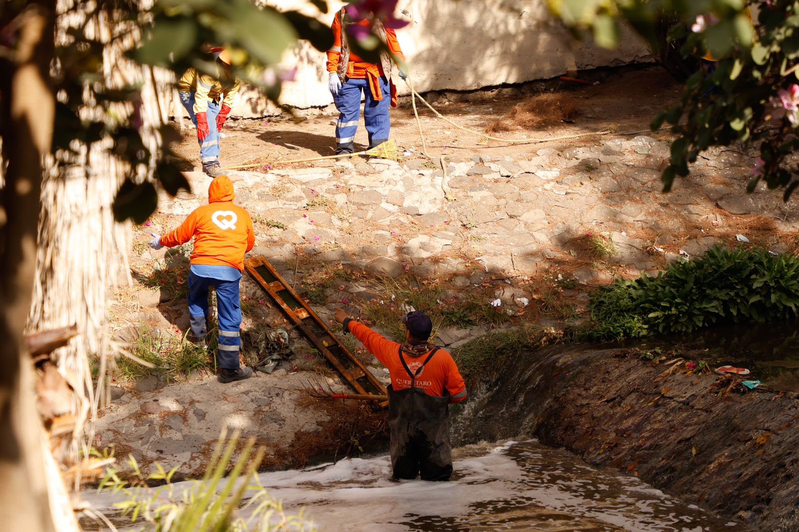 Imagen de Participa Felifer Macías en el saneamiento del Río Querétaro 12