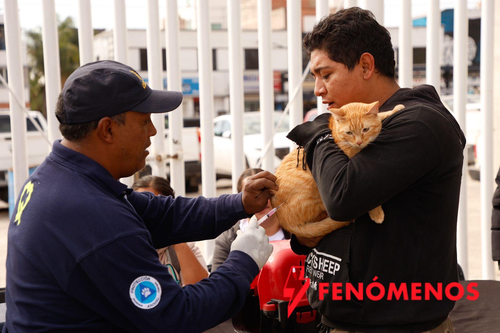 Asiste Felifer Macías a la Mega Jornada de Esterilización y Vacunación