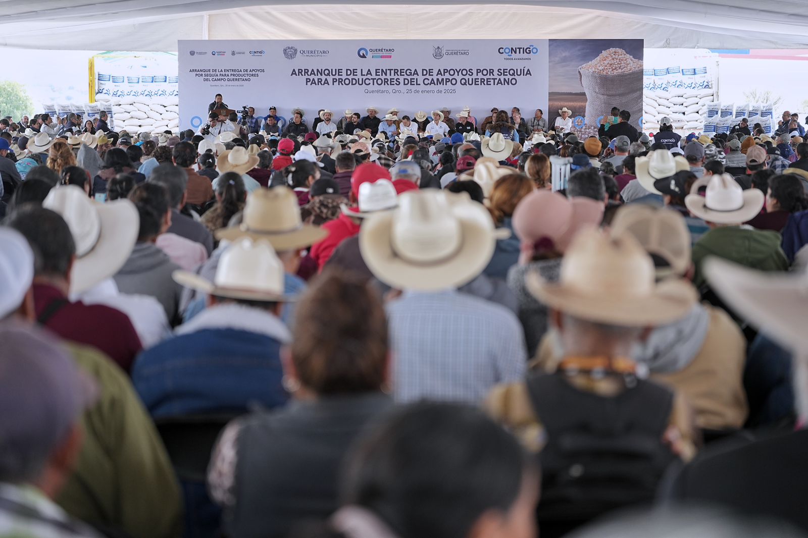 Imagen de Asiste Felifer Macías a la entrega de apoyos por sequía a productores del campo queretano 24