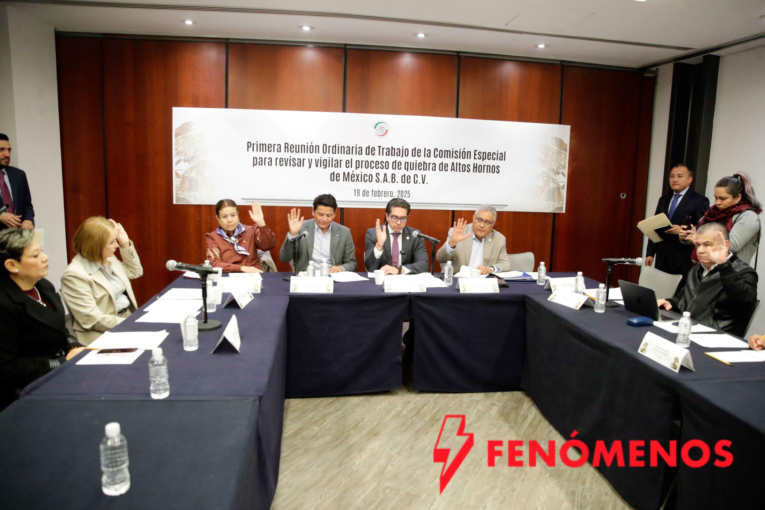 Comisión especial del Senado revisa avances sobre el proceso de quiebra de Altos Hornos de México Comisión especial del Senado revisa avances sobre el proceso de quiebra de Altos Hornos de México