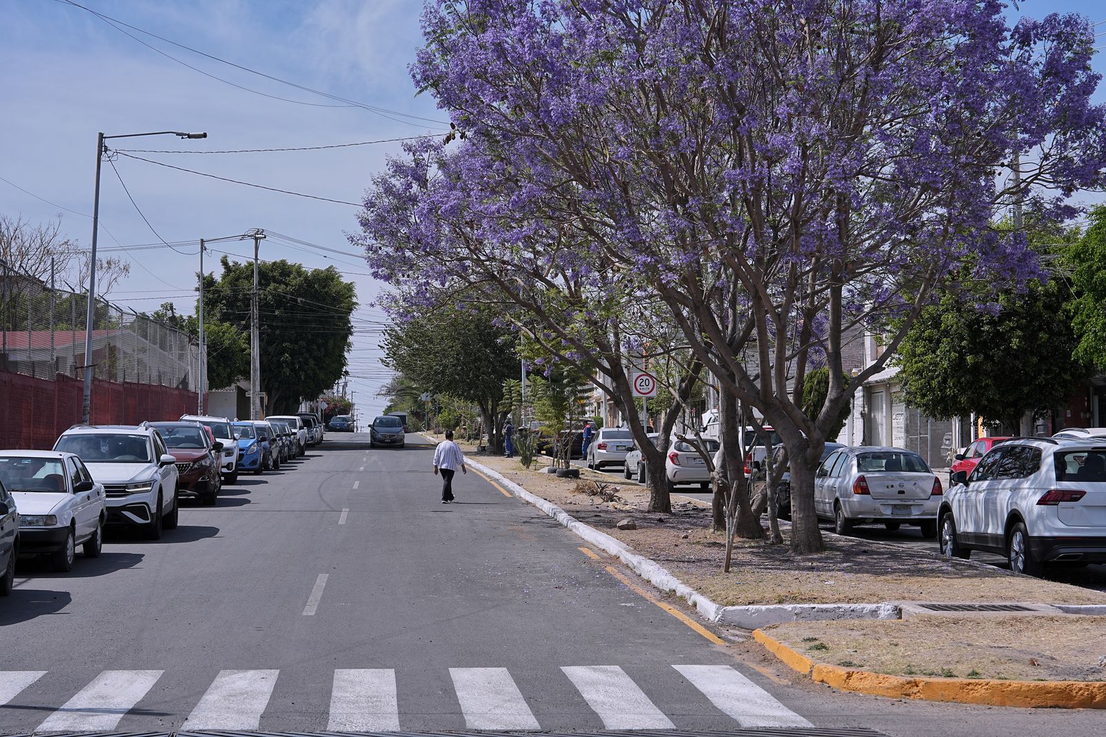 Imagen de Entrega Felifer Macías trabajos de “Alcalde en Acción” en Villas de Santiago 16