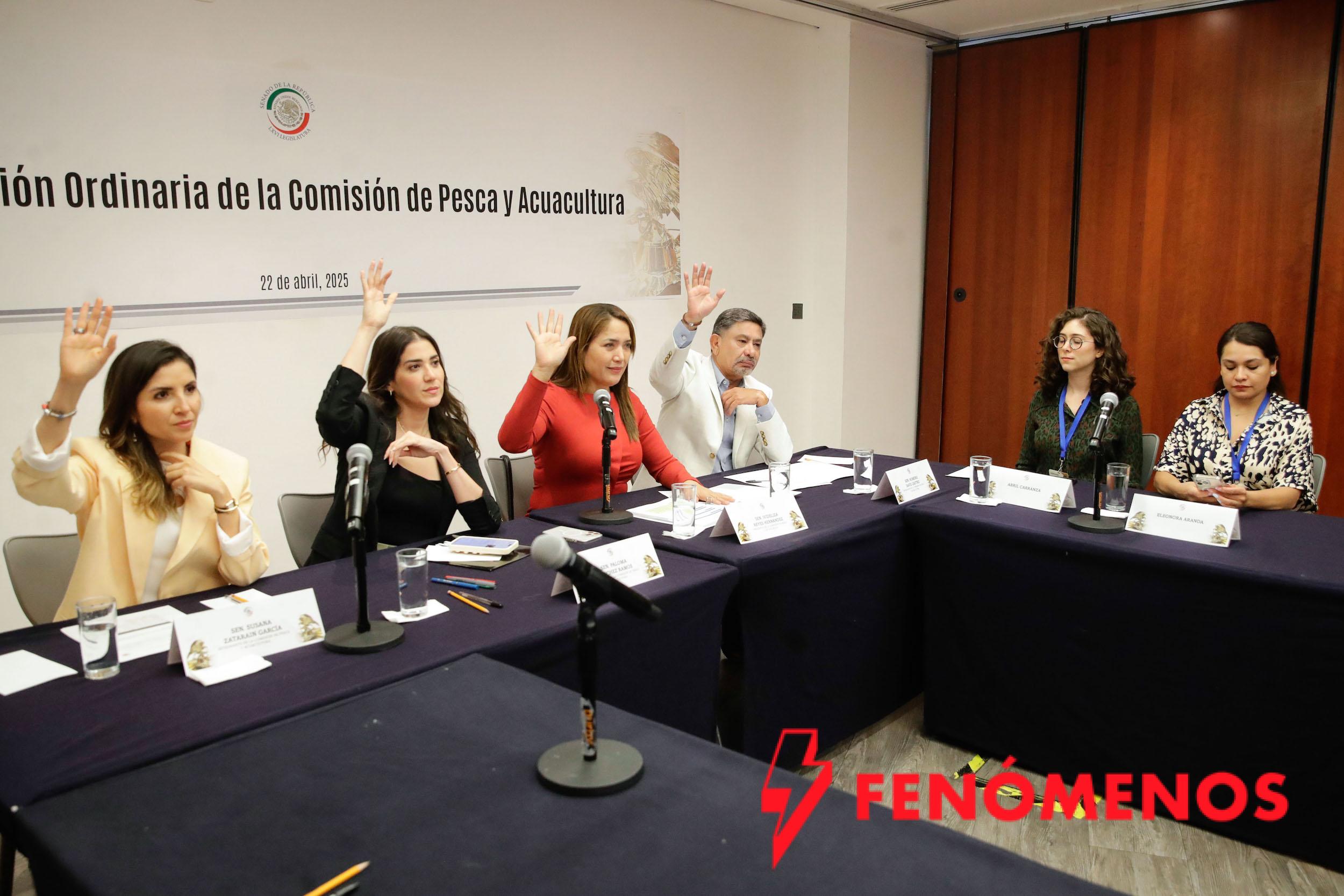 Comisión aprueba dictamen para que SADER otorgue esquemas de financiamiento para pesca ribereña Comisión aprueba dictamen para que SADER otorgue esquemas de financiamiento para pesca ribereña