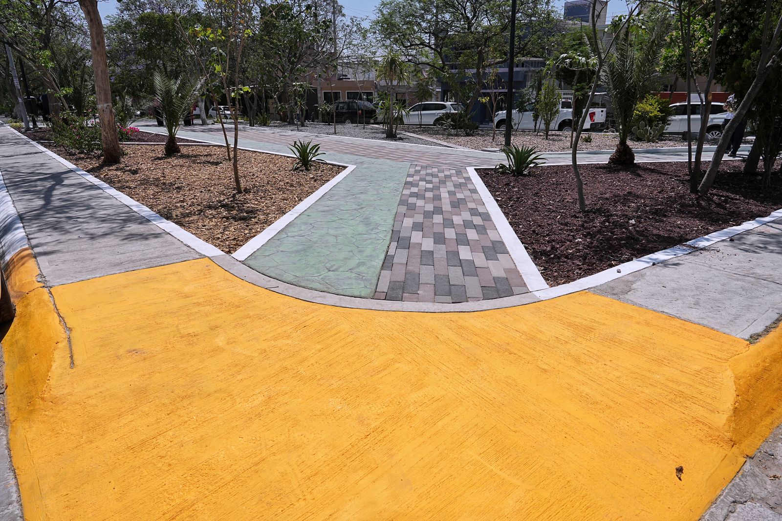 Imagen de Entrega Felifer Macías resultados de Alcalde en Acción en la colonia Cerrito Colorado 8