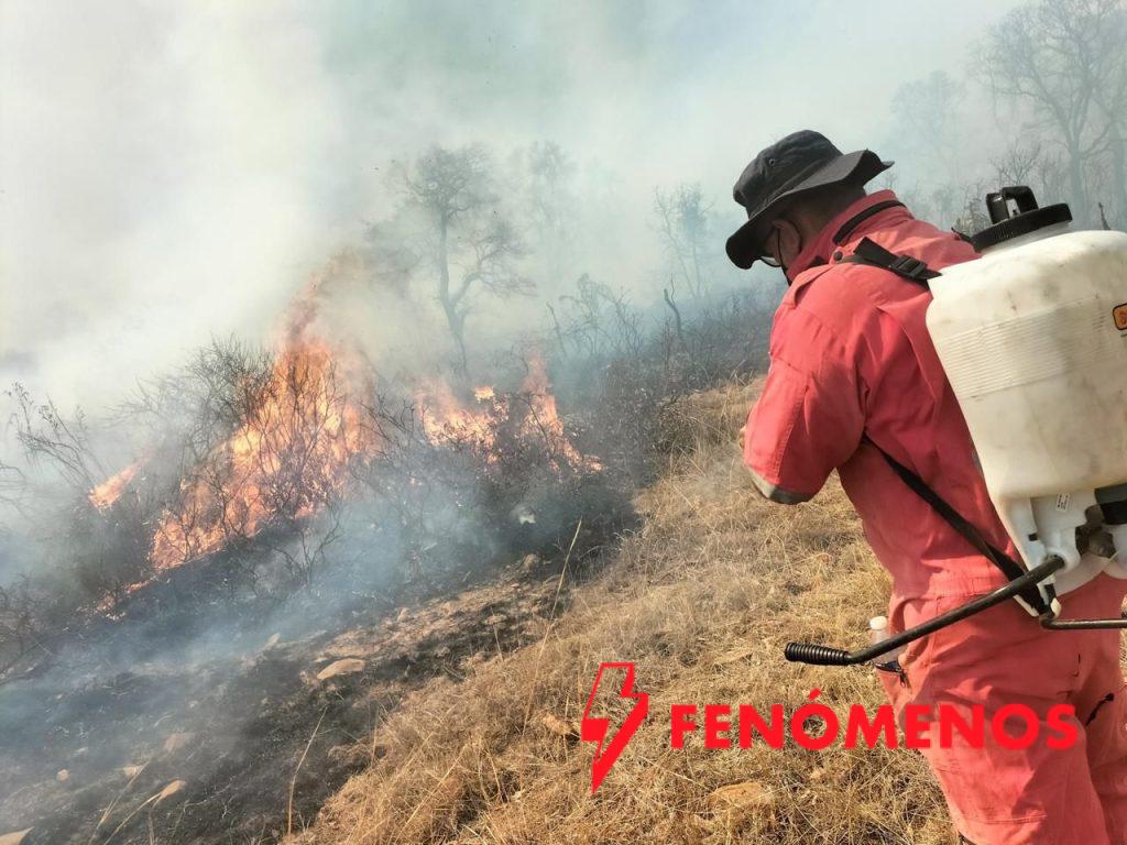 Protección Civil estatal, en coordinación con los tres niveles de gobierno, combate incendio forestal en el Cerro de Amoles Protección Civil estatal, en coordinación con los tres niveles de gobierno, combate incendio forestal en el Cerro de Amoles