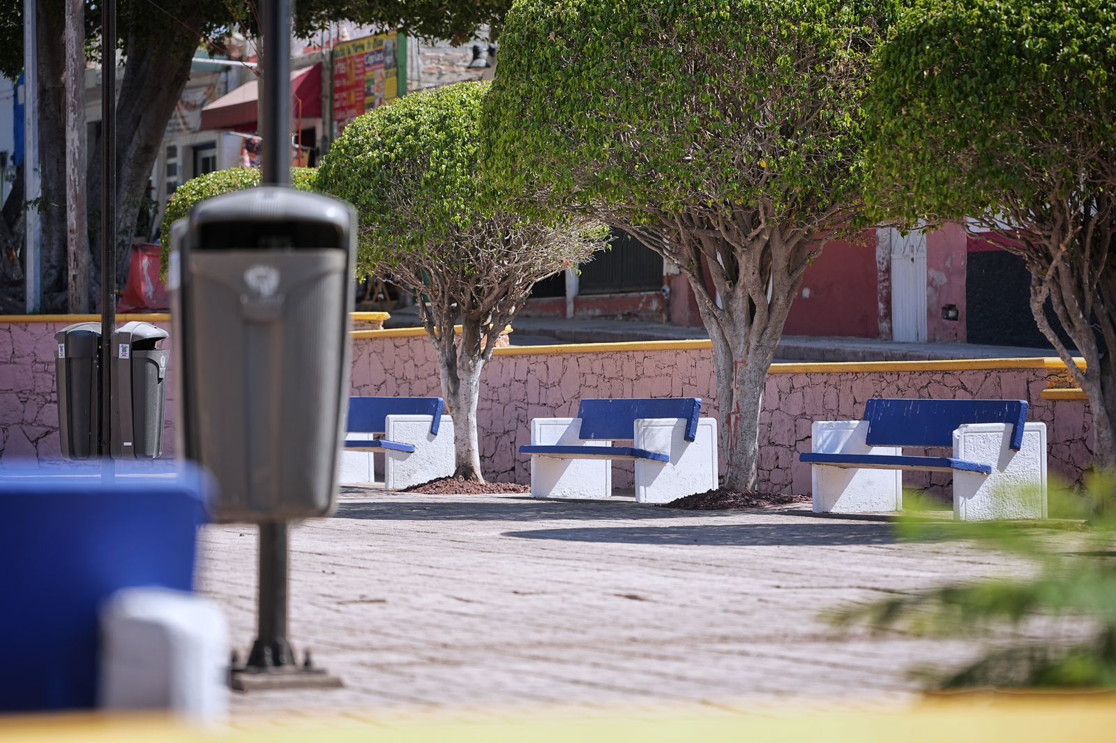 Imagen de Entrega Felifer Macías trabajos de Alcalde en Acción en las colonias El Cerrito y La Trinidad 14