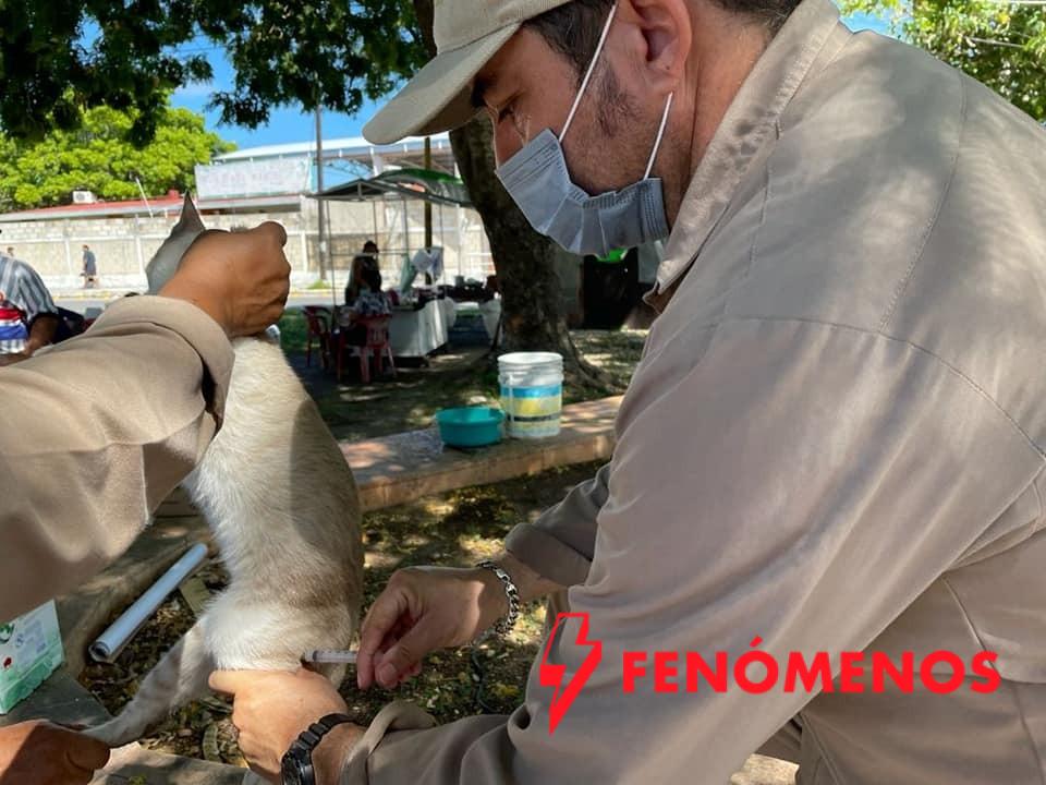 COBERTURA PERMANENTE DE VACUNACIÓN PARA MANTENER A CAMPECHE LIBRE DE RABIA