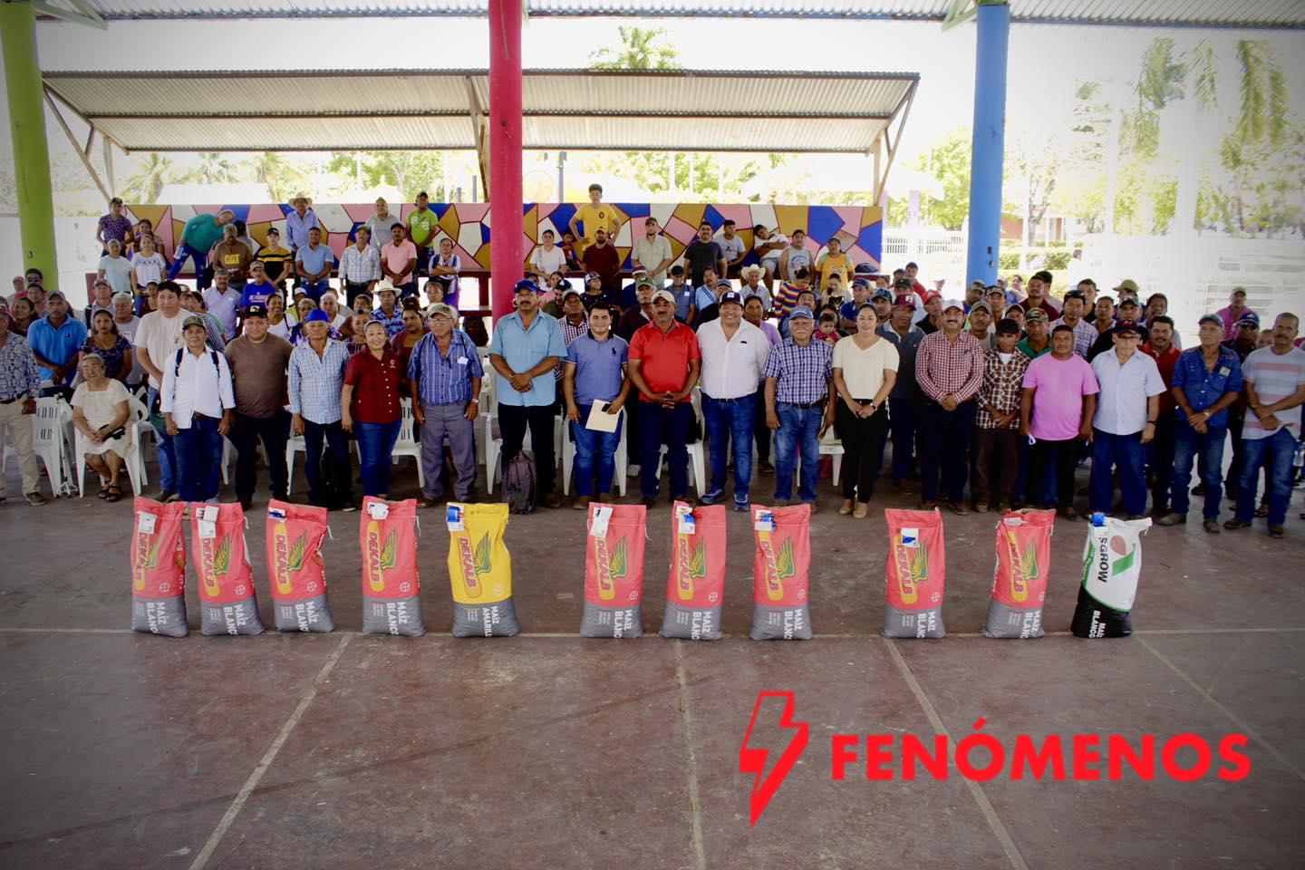 RECIBEN PRODUCTORES DE CARMEN MÁS DE MIL BULTOS DE SEMILLA DE MAÍZ RECIBEN PRODUCTORES DE CARMEN MÁS DE MIL BULTOS DE SEMILLA DE MAÍZ