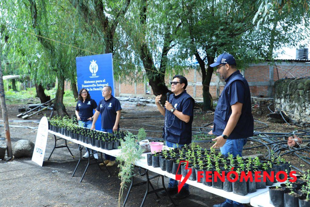 Entregan Plantas Aromáticas en los Grupos de Desarrollo en las localidades de Yuriria y Jaral del Progreso. Entregan Plantas Aromáticas en los Grupos de Desarrollo en las localidades de Yuriria y Jaral del Progreso.