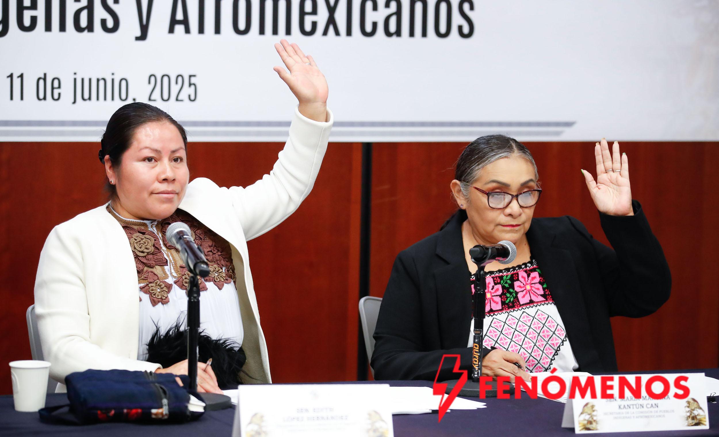 Concluye elaboración del proyecto de la Ley General sobre Derechos de los Pueblos Indígenas y Afromexicanos Concluye elaboración del proyecto de la Ley General sobre Derechos de los Pueblos Indígenas y Afromexicanos