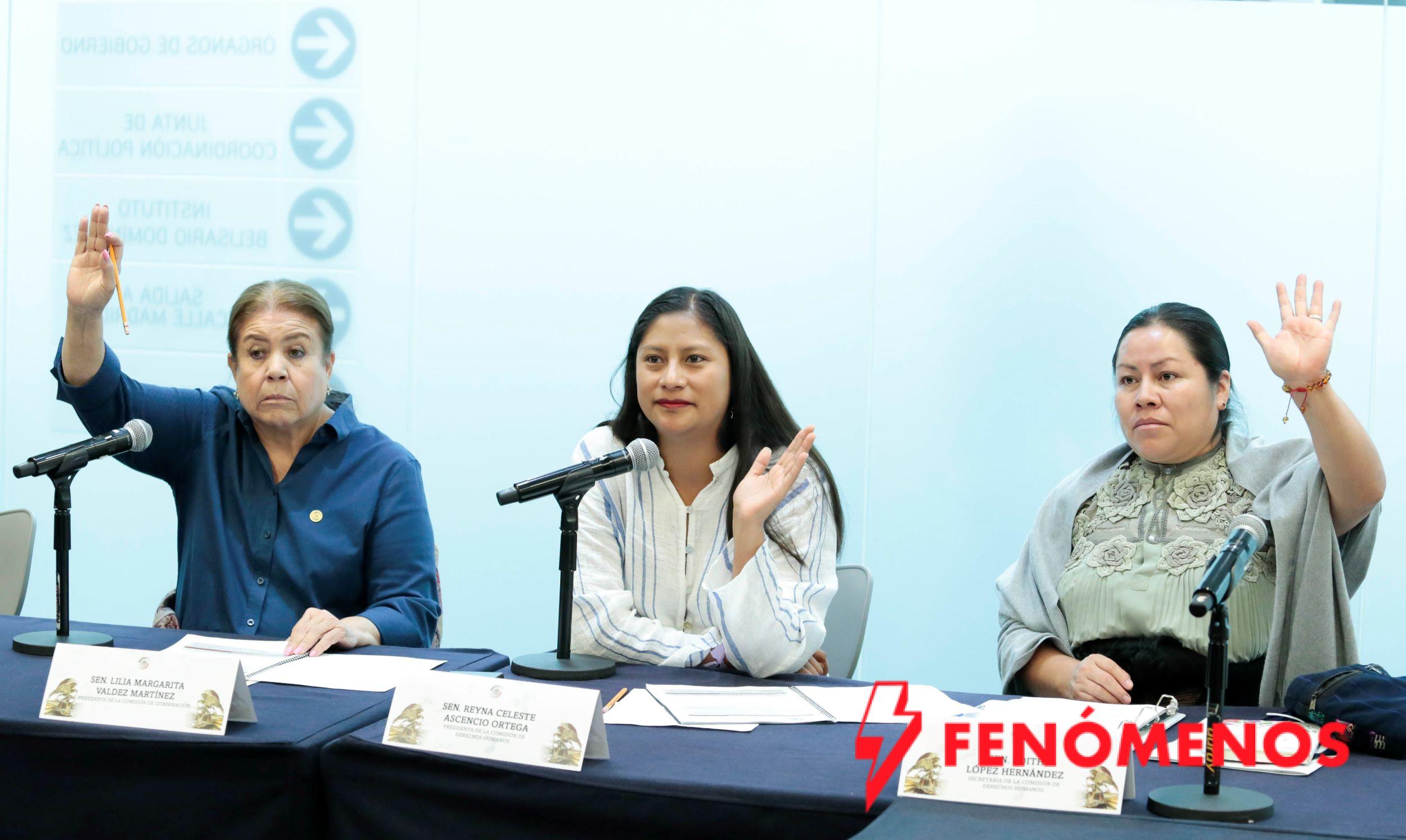 Aprueban acuerdo para evaluar a candidatos para el Consejo Nacional Ciudadano del Sistema Nacional de Búsqueda