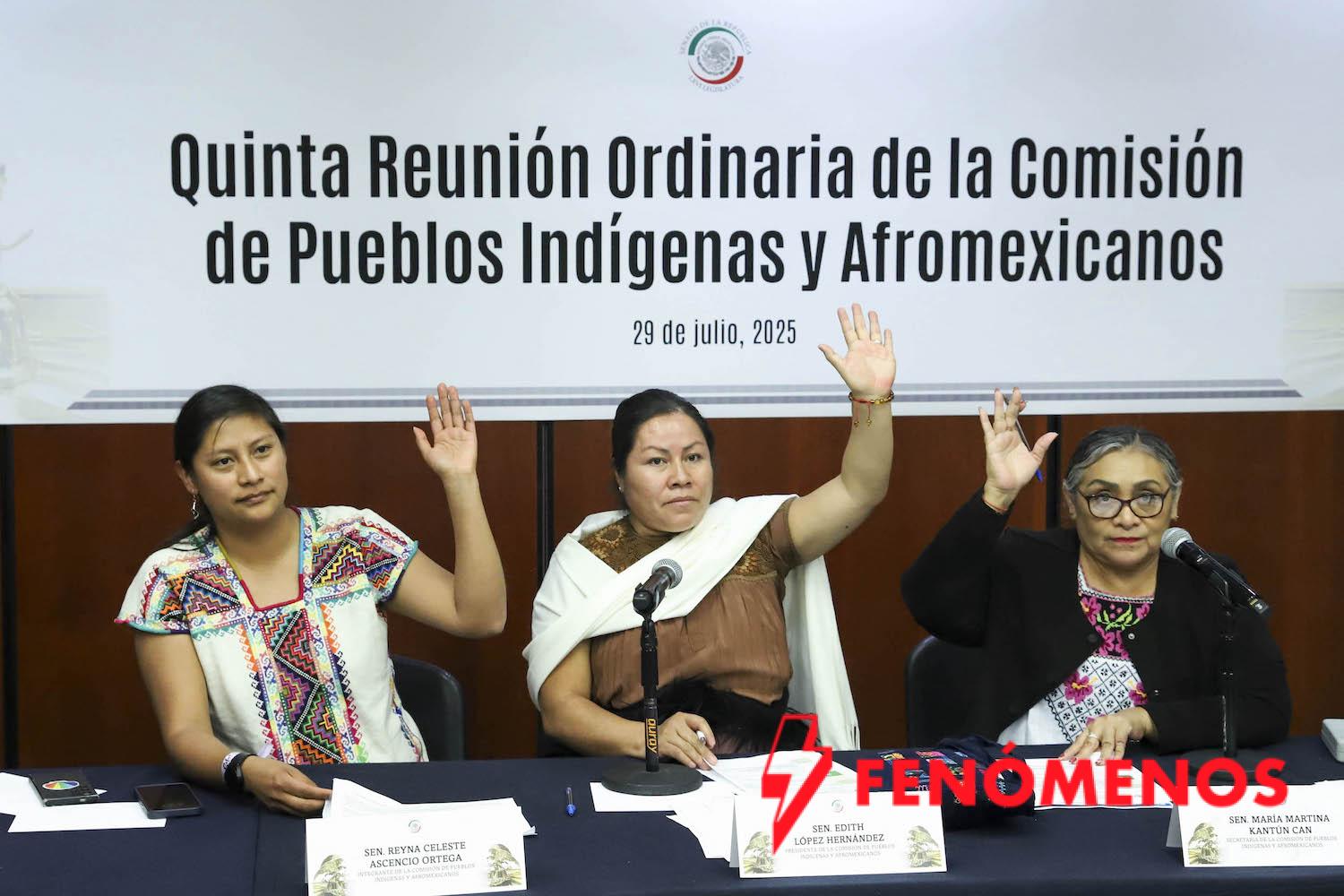 Avalan dictamen que fortalece políticas públicas, planes y programas en favor de jóvenes indígenas Avalan dictamen que fortalece políticas públicas, planes y programas en favor de jóvenes indígenas