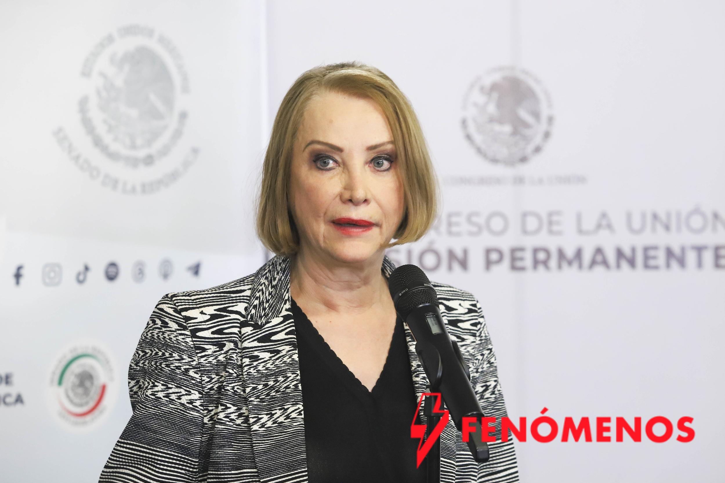 Respeto a la pluralidad y trabajo institucional en el Senado, reitera Laura Itzel Castillo Juárez