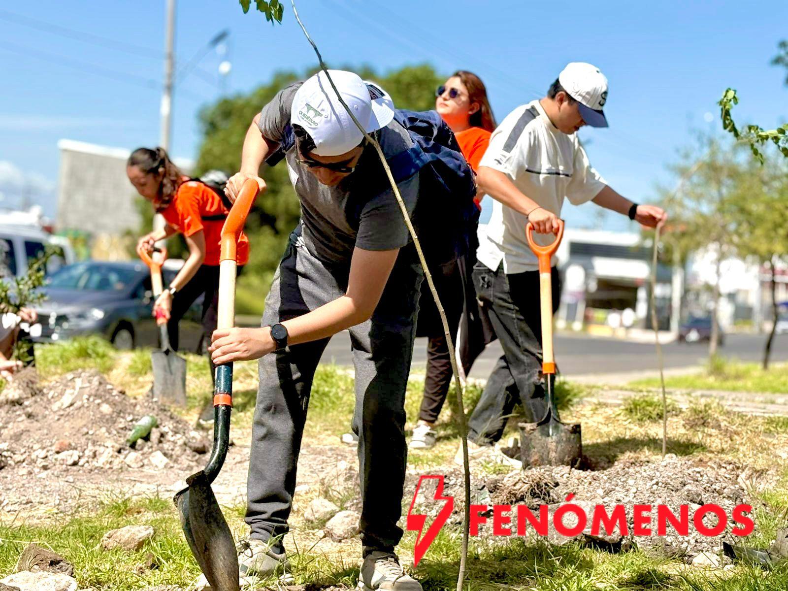 Siembra municipio mil árboles para “Reverdecer Querétaro”