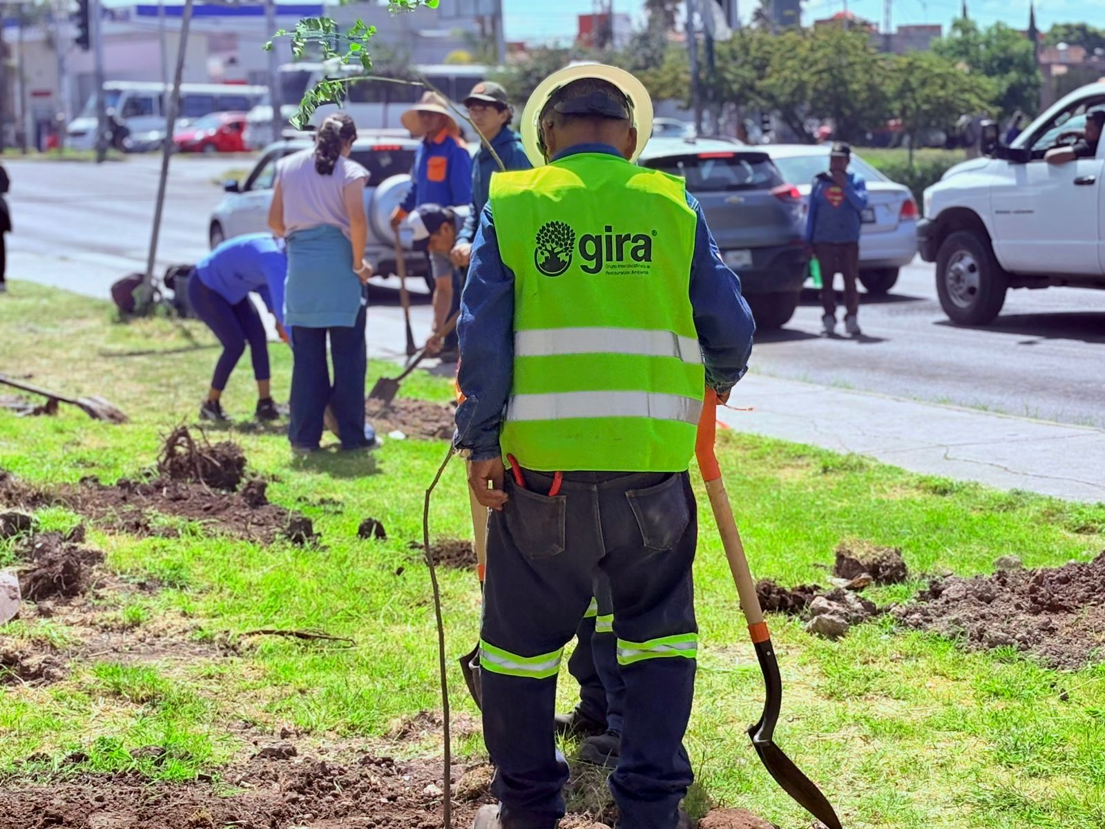 Imagen de Siembra municipio mil árboles para “Reverdecer Querétaro” 17