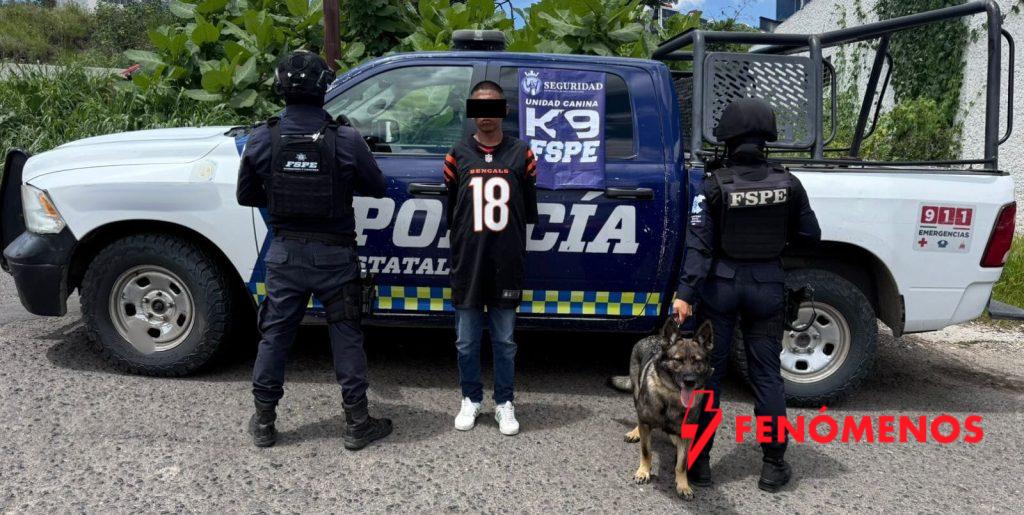 Oficial canino de la Unidad K9 de la Secretaría de Seguridady Paz localiza droga durante patrullaje preventivo en León Oficial canino de la Unidad K9 de la Secretaría de Seguridady Paz localiza droga durante patrullaje preventivo en León