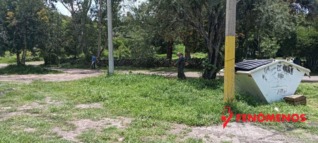 SSG promueve entornos libres de criaderos de dengue en Moroleón.