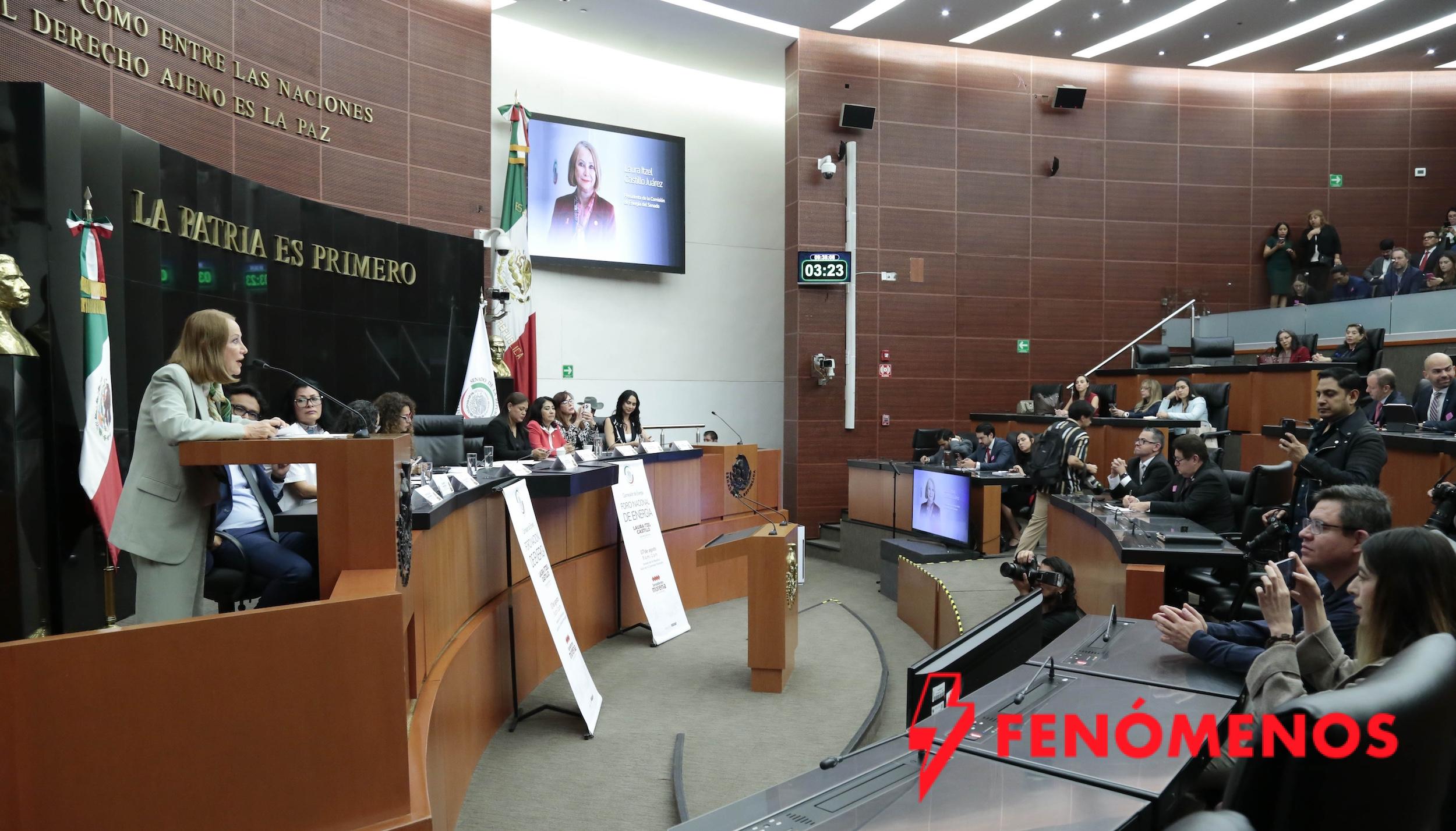 Plan Estratégico de PEMEX busca estabilidad financiera de la empresa pública: Laura Itzel Castillo