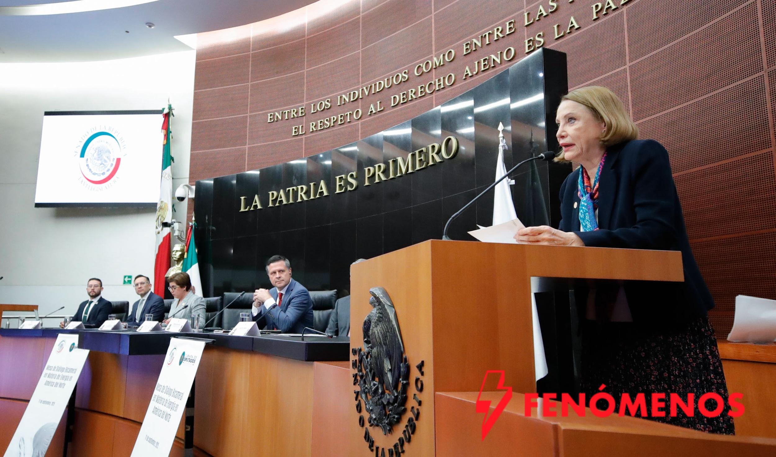 Importante que México avance en producción de gas natural y energías renovables: Laura Itzel Castillo Juárez