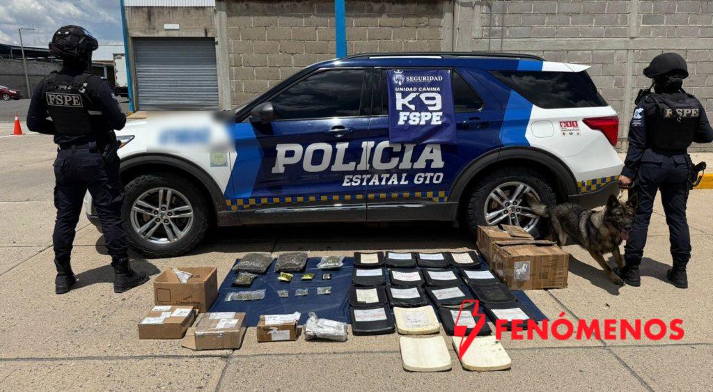 Frustra oficial canino Oxi envío de drogas y equipo balístico en paquetería de León