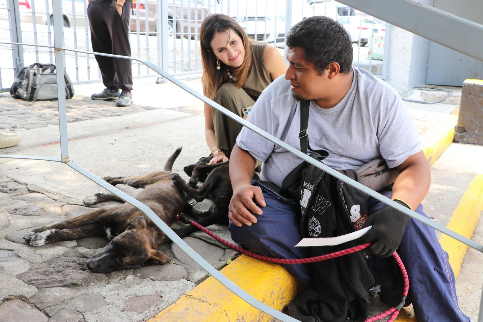 Imagen de Jóvenes del DIF Municipal entrenarán a perros rescatados en innovador proyecto del Municipio de Querétaro 13