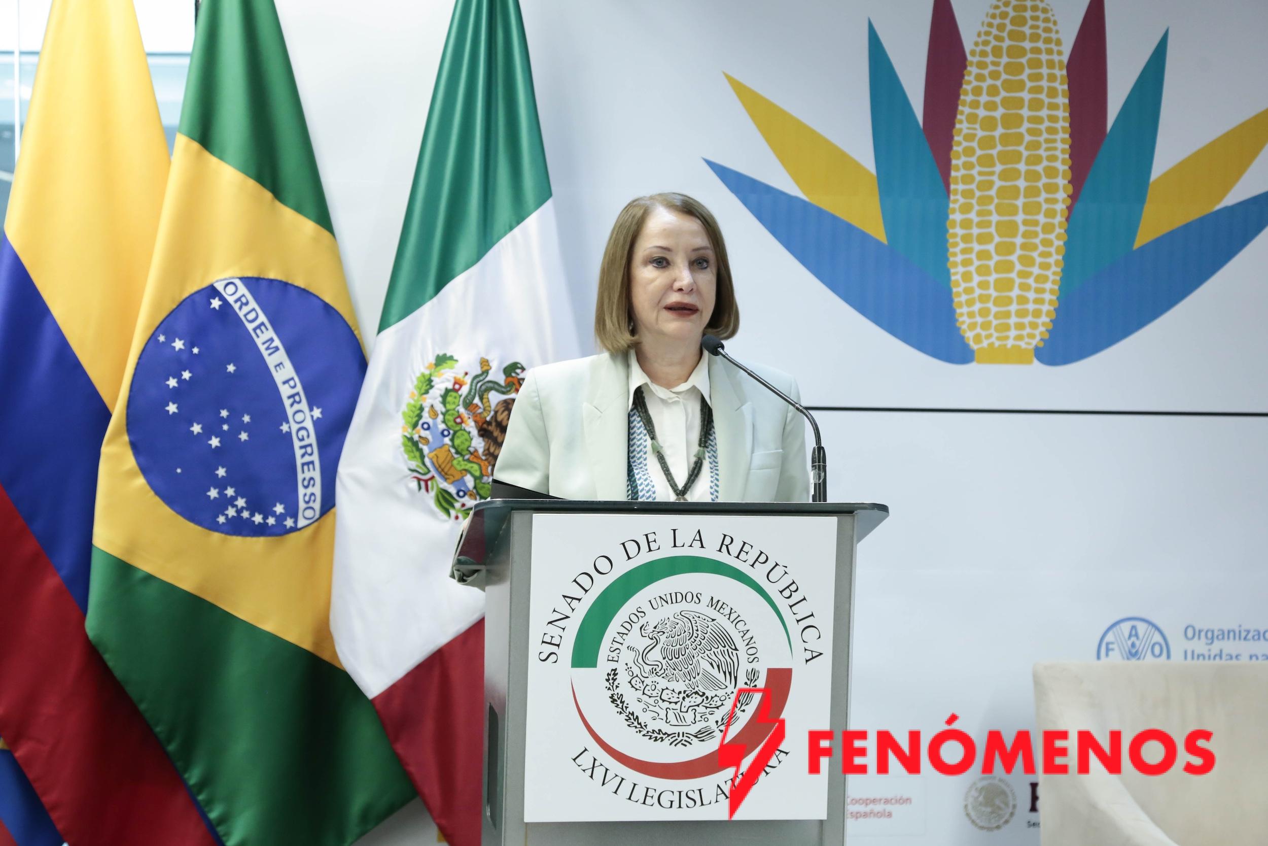 La cooperación internacional es el camino para lograr seguridad alimentaria justa y sostenible: Laura Itzel Castillo