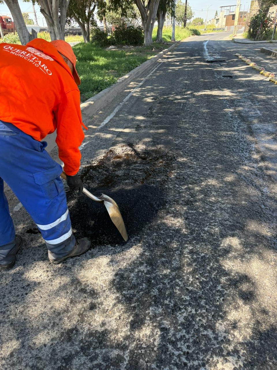 Imagen de Se han atendido 12 mil 842 baches en lo que va de la administración: Felifer Macías 6