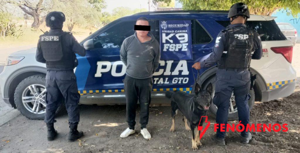 Agente canino ‘Gaby’ de FSPE detecta a hombre con más de mil dosis de droga en León