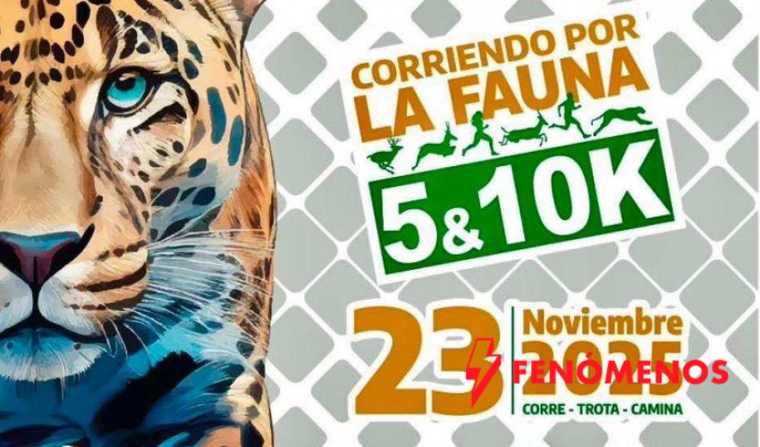 «Corriendo por la Fauna”, una estampida de solidaridad en pro de las especies
